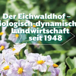 Titelbild: Eichwaldhof– biologisch-dynamische Landwirtschaft